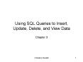 Using SQL Queries to Insert, Update, Delete, and View Data PowerPoint PPT Presentation