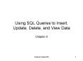 Using SQL Queries to Insert, Update, Delete, and View Data PowerPoint PPT Presentation