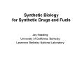 Synthetic Biology for Synthetic Drugs and Fuels PowerPoint PPT Presentation