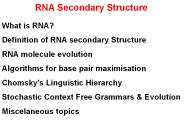 RNA%20Secondary%20Structure