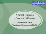 Animal Impacts of Avian Influenza