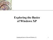 Exploring the Basics of Windows XP