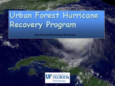 Restoring trees following a hurricane