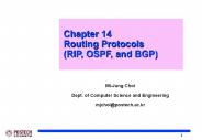 Chapter 14 Routing Protocols  (RIP, OSPF, and BGP)