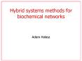 Hybrid systems methods for biochemical networks PowerPoint PPT Presentation