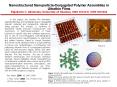 Nanostructured Nanoparticle-Conjugated Polymer Assemblies in Ultrathin Films Rigoberto C. Advincula, University of Houston, DMR 0504435, DMR 0602896 PowerPoint PPT Presentation