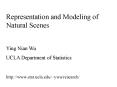 Representation and Modeling of Natural Scenes PowerPoint PPT Presentation