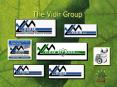 The Vidir Group PowerPoint PPT Presentation