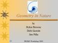 Geometry in Nature PowerPoint PPT Presentation