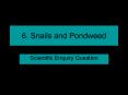 6' Snails and Pondweed PowerPoint PPT Presentation