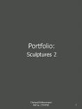 Portfolio: PowerPoint PPT Presentation