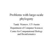 Problems with large-scale phylogeny