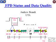FPD Status and Data Quality  Andrew Brandt