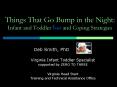 Things That Go Bump in the Night: Infant and Toddler Fears and Coping Strategies PowerPoint PPT Presentation