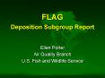 FLAG Deposition Subgroup Report PowerPoint PPT Presentation