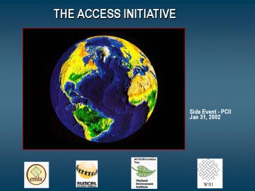 THE ACCESS INITIATIVE