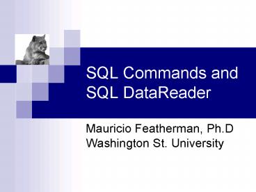 presentation player overlay