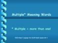 Multiple Meaning Words PowerPoint PPT Presentation