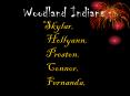 Woodland Indians PowerPoint PPT Presentation