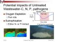 Potential Impacts of Untreated WastewaterC, N, P, pathogens PowerPoint PPT Presentation