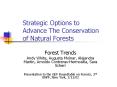 Strategic%20Options%20to%20Advance%20The%20Conservation%20of%20Natural%20Forests PowerPoint PPT Presentation