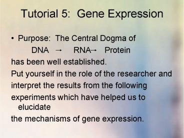 presentation player overlay