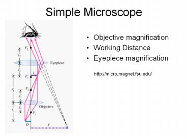 Simple%20Microscope