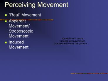 Perceiving Movement