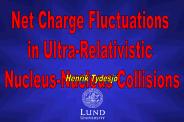 Net%20Charge%20Fluctuations
