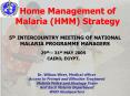 Home Management of Malaria HMM Strategy PowerPoint PPT Presentation