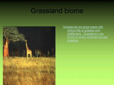 Grassland biome