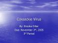 Coxsackie Virus PowerPoint PPT Presentation