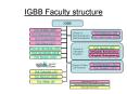 IGBB Faculty structure PowerPoint PPT Presentation