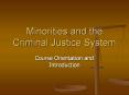 Minorities and the Criminal Justice System PowerPoint PPT Presentation