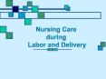 Nursing Care PowerPoint PPT Presentation