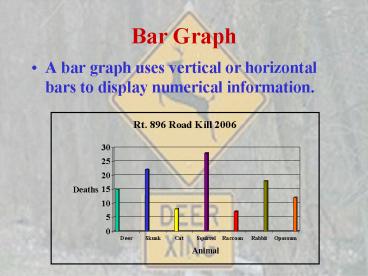 Bar Graph