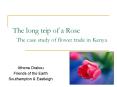 The long trip of a Rose The case study of flower trade in Kenya PowerPoint PPT Presentation