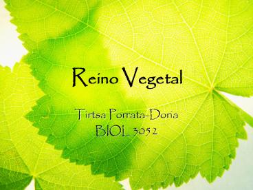 Reino Vegetal