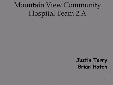 Mountain View Community Hospital Team 2'A