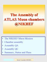 The NIKHEF Muon Mission