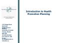 Introduction to Health Promotion Planning PowerPoint PPT Presentation