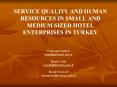 SERVICE QUALITY AND HUMAN RESOURCES IN SMALL AND MEDIUM SIZED HOTEL ENTERPRISES IN TURKEY PowerPoint PPT Presentation