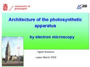 Architecture of the photosynthetic