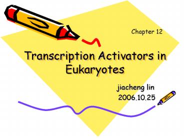 Transcription Activators in Eukaryotes