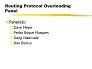 Routing Protocol Overloading Panel