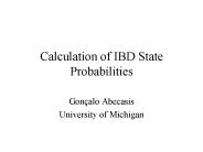 Calculation of IBD State Probabilities