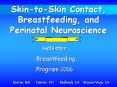 Skin-to-Skin Contact, Breastfeeding, and PowerPoint PPT Presentation