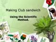 Making Club sandwich PowerPoint PPT Presentation