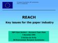 REACH Key issues for the paper industry PowerPoint PPT Presentation