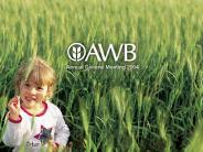 AWB Limited - 2004 AGM Presentation
